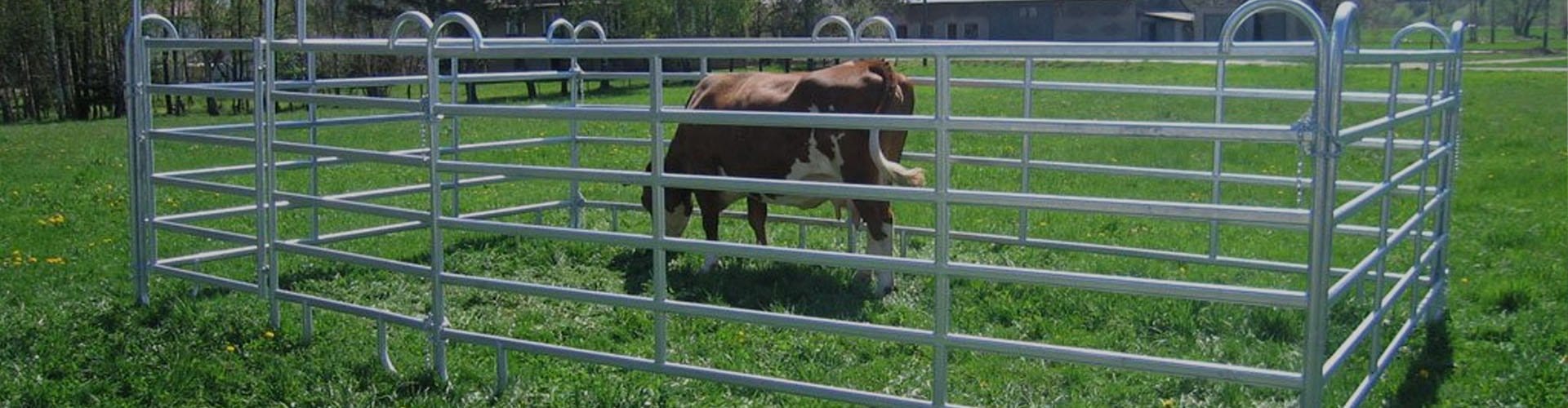 Cattle Panel