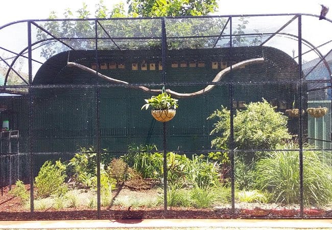 Bird Cage Fence1
