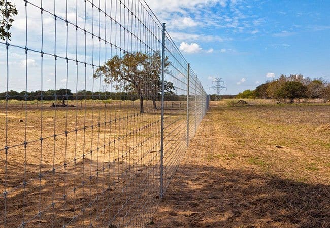 Fixed Knot Fence3