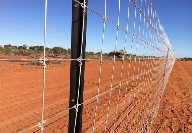 Fixed Knot Fence4