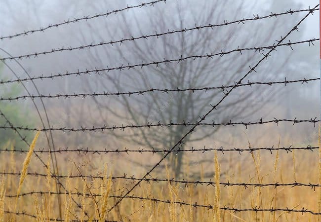 Why Bdfence Barbed Wire