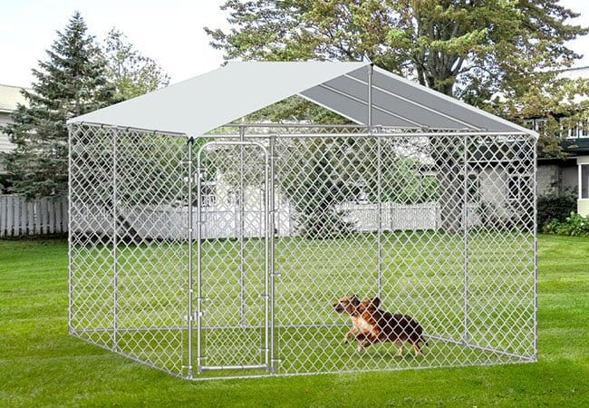 Why Choose Bdfence Dog Kennel