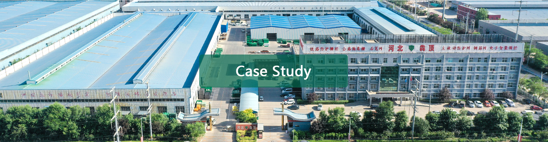 Case Studies